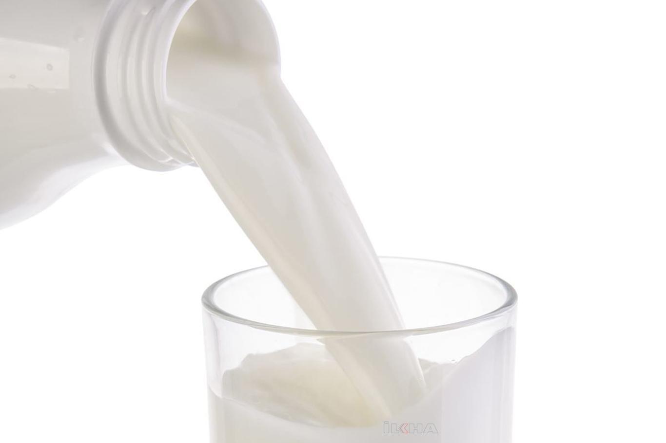 Kaliteli proteinin sırrı her gün iki bardak süt